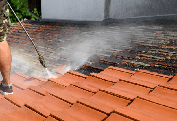 Best Fence Pressure Washing  in Mason City, IL